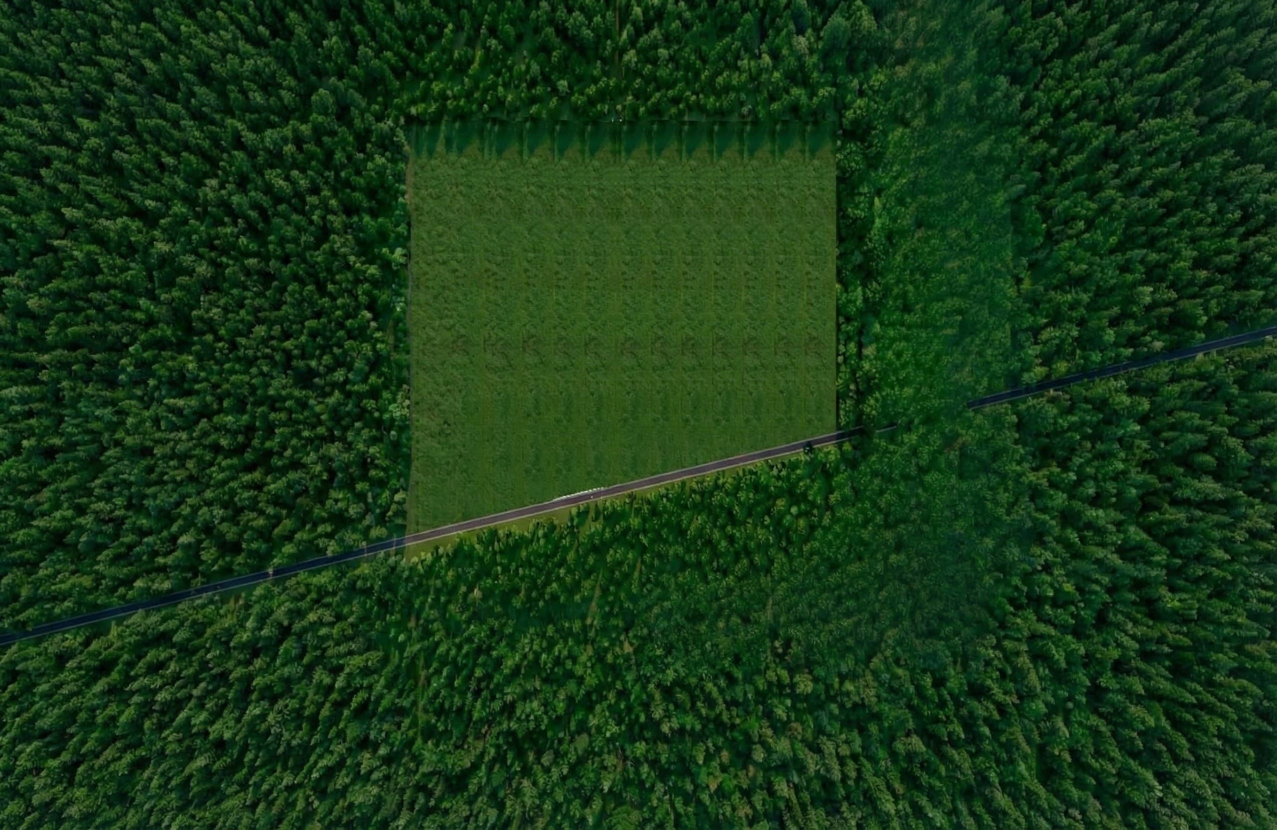 Mapa de referencia Gran Dzilam